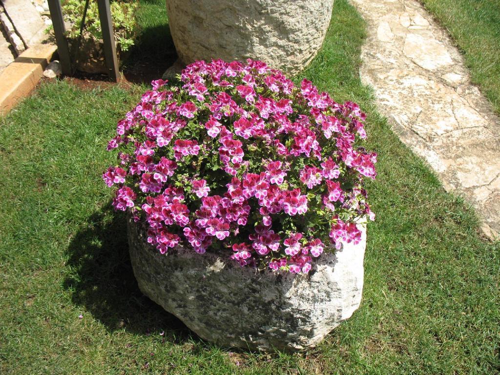 Apartmani Villa Otilija Poreč Extérieur photo